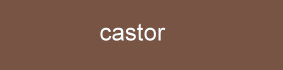 Farbe_castor_cette