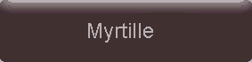 Farbe_myrtille_