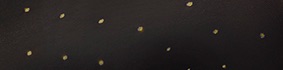 Farbe_black-lemon_fiore