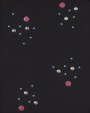 farbe_black_pp_cosmic-small.jpg
