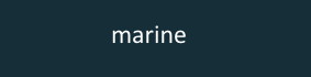 farbe_hk_marine.jpg