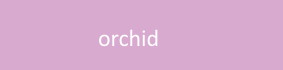 farbe_orchid_gabriella.jpg